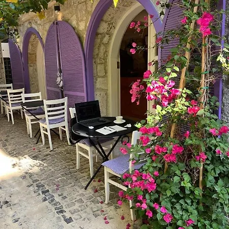 Selavi * Cesme