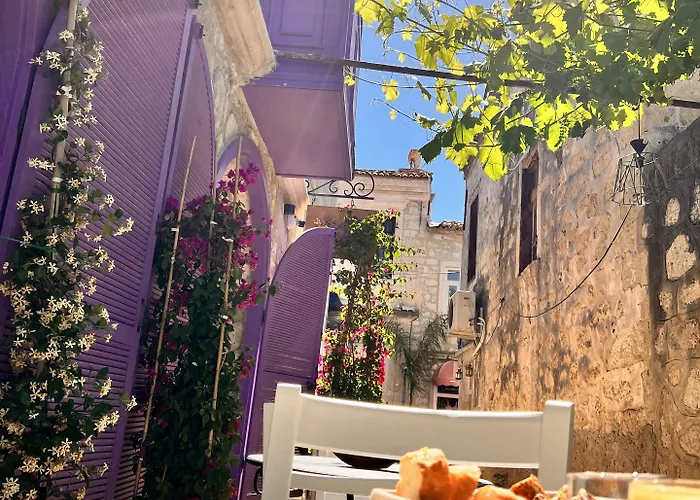 Готель Selavi *